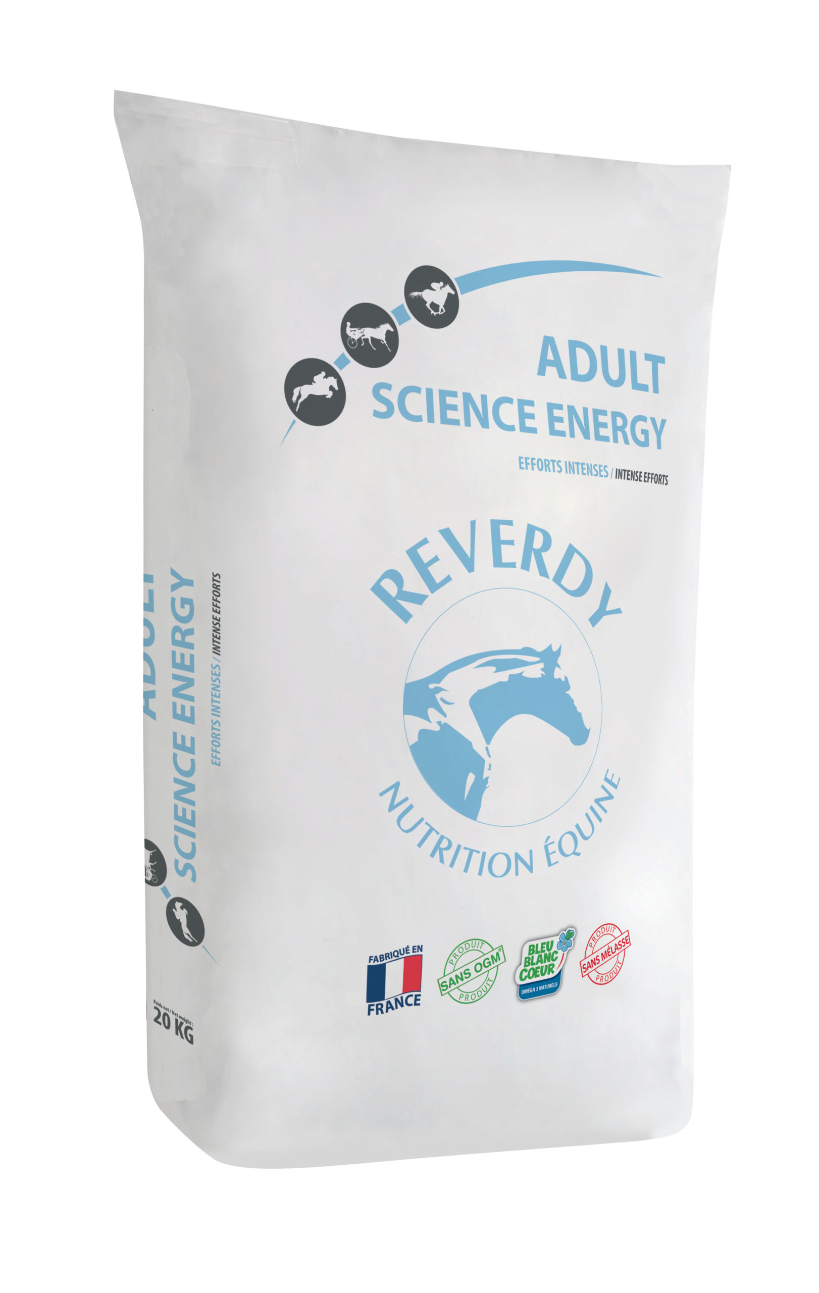 Reverdy-Adult-Science-Energy