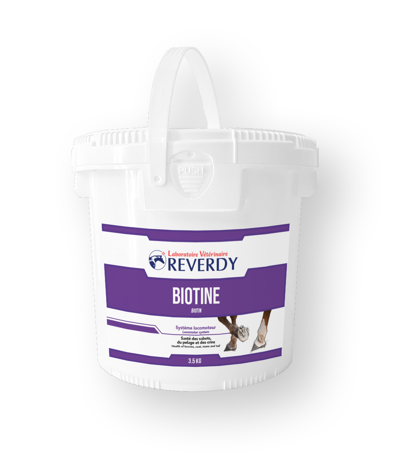 reverdy-biotine-3kg5