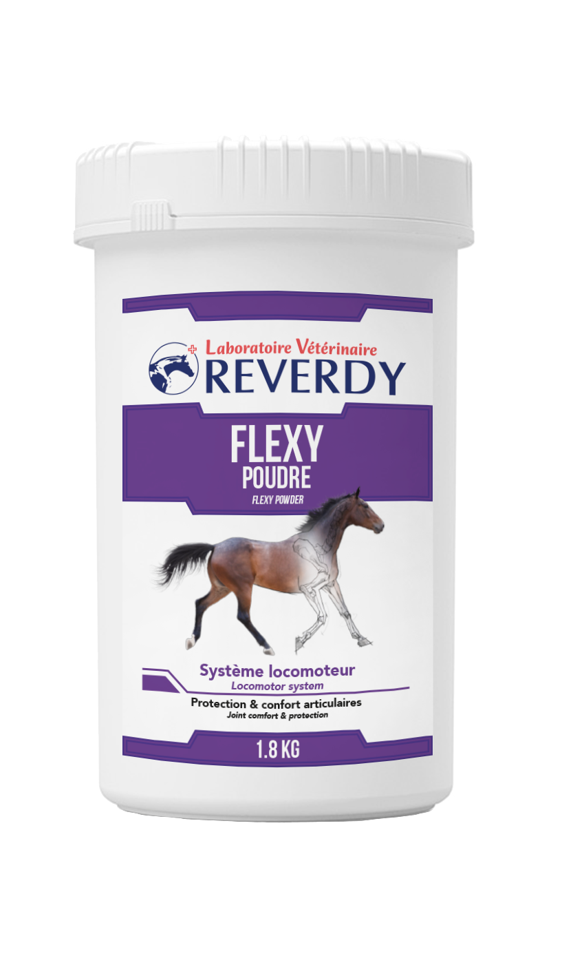 reverdy-flexy-1kg8