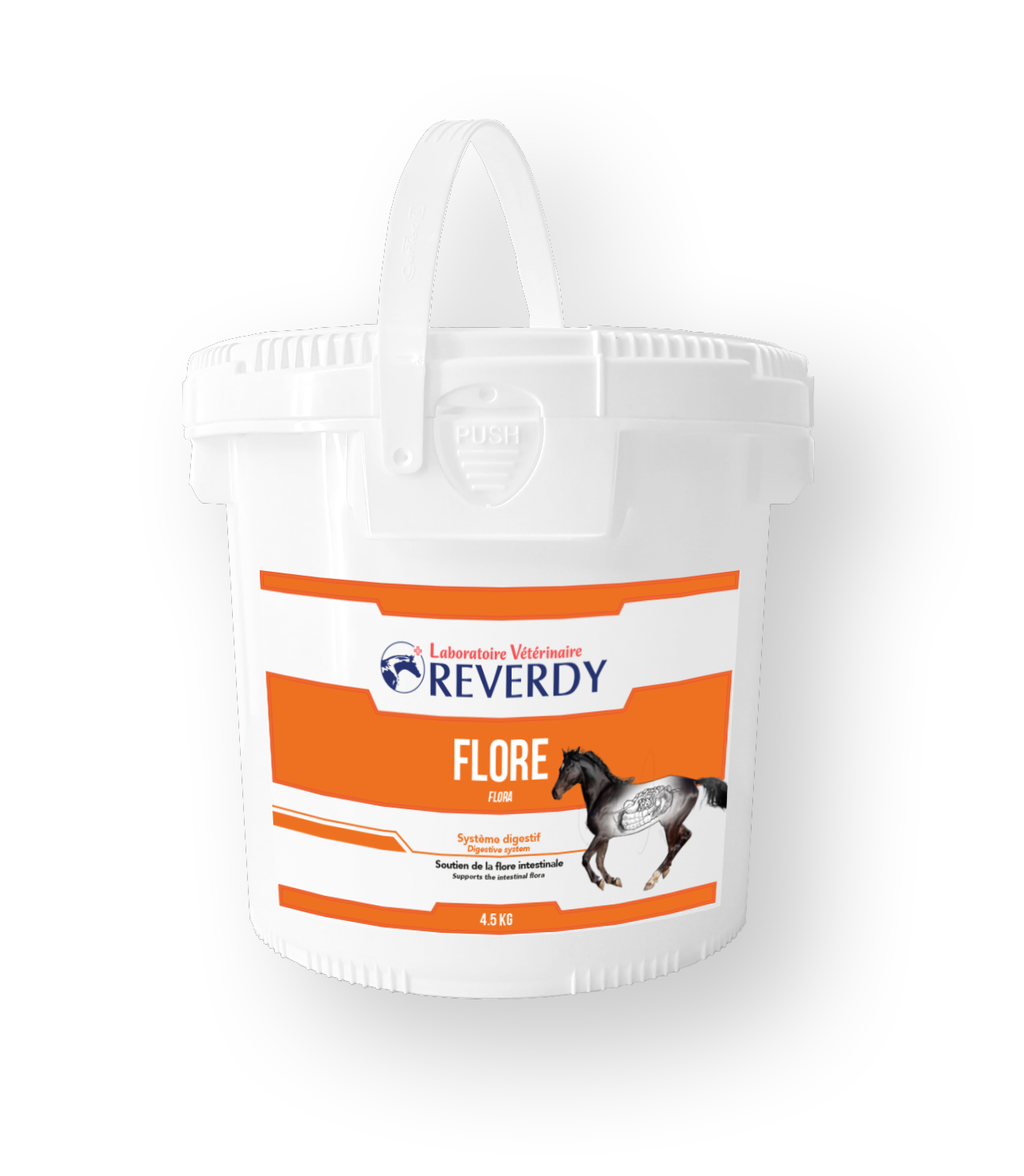 reverdy-flore-4kg5