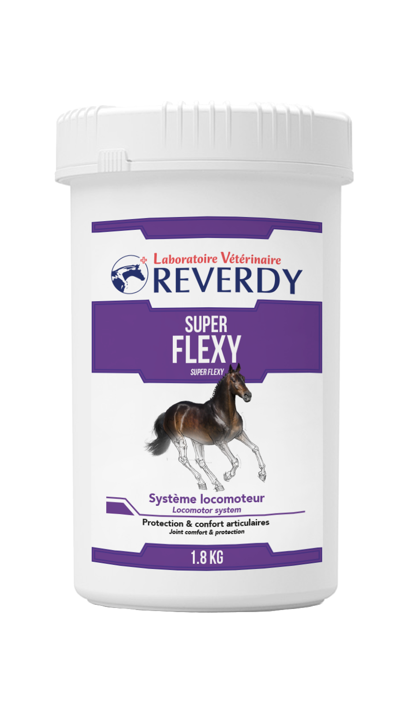 reverdy-super-flexy-1kg8